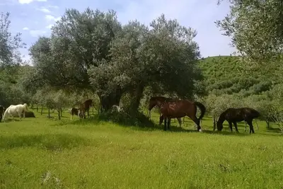 Image de maison d'hôtes dans une ferme