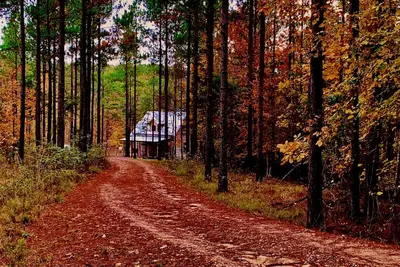 Image de New-Traditional Kentucky Log Cabin On River Nouvelle Construction! Meilleur à Mentone