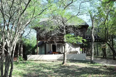 Image de La cime des arbres, un joyau caché dans la brousse