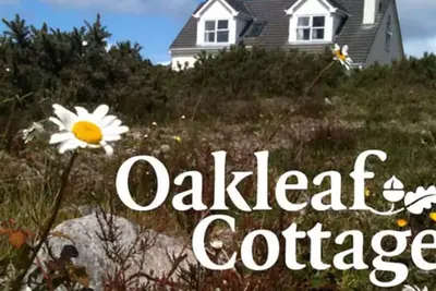 Image de Magnifique Oakleaf Cottage, Westport, Co Mayo