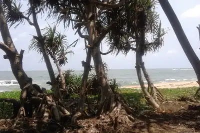 Image de 'Sai Dham' Beach House Bungalow à louer à Gujjadi
