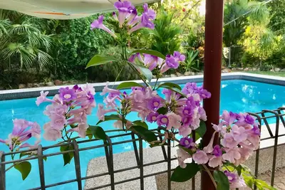 Image de Spring Homestead; une oasis tropicale.