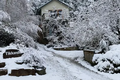 Image de . . . . . . Tikkandi. . . . . . .