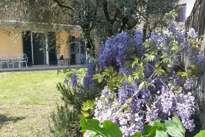Image de Immergé dans la détente verdoyante d'une ferme authentique et proche des services