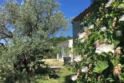 Image de Gîte à 10 mn de Vaison la romaine