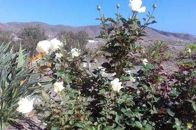 Image de Finca Los Rosales, maison rurale située dans la vallée de La Lajita, Fuerteventura.