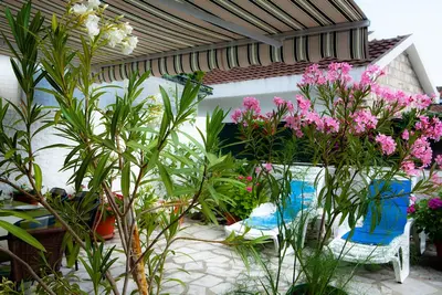 Image de 5 min à pied de la plage, Wi-Fi, climatisation, parking, conviviale et familiale