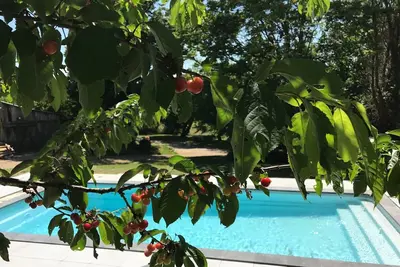 Image de Belle grange avec piscine, au coeur de la campagne tarnaise