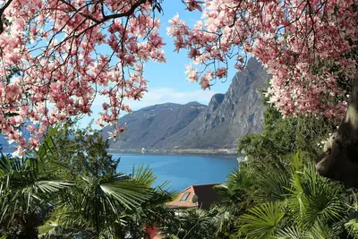 Image de Garden-apartment Castagnola-near lakeindoor-pool, aircondition, lakeview, with dog