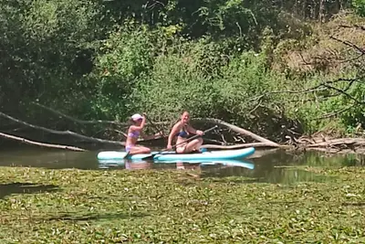 Image de Maison d'artiste en Bord de Rivière – Canoë, Calme & Évasion.