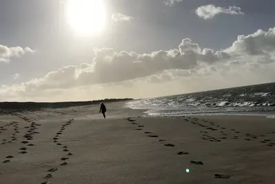 Image de A 200m de la magnifique plage de la Luzéronde, maison de 110m² baignée de soleil