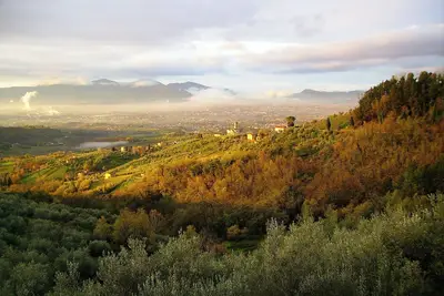 Image de Fattoria di Petrognano, votre chambre d'hôtes 2