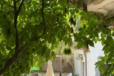 Image de Villa immergée dans la verdure du parc national du Cilento à Palinuro