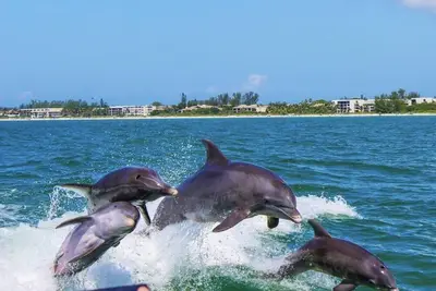 Image de Superbe Condo De L'Ile De Sanibel - Récemment mis à jour - Nombreux équipements