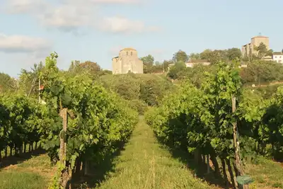 Image de Profitez Panoramas, piscine et Paradise! Nr St Emilion, à côté de l'ancienne abbaye