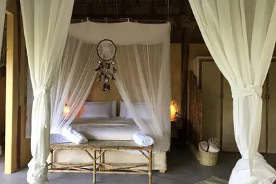 Image de Cabaña romantique entourée d'arbres.