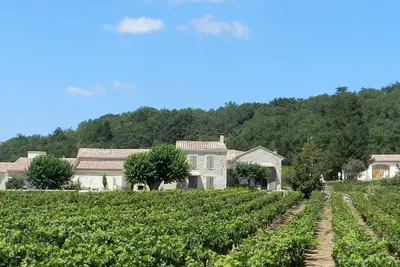 Image de Mas provençal (3 habitations indépendantes) dans un vignoble