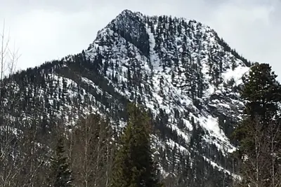 Image de Famille Et Animaux acceptés Getaway In The Heart Of Frisco Colorado.