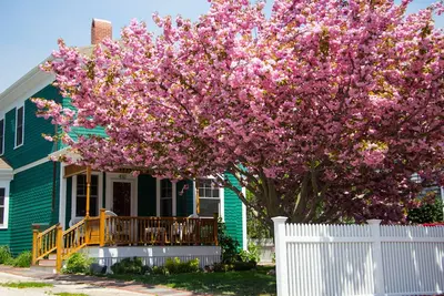 Image de Profitez de n'importe quelle période de l'année - à East End Captains Home, Provincetown