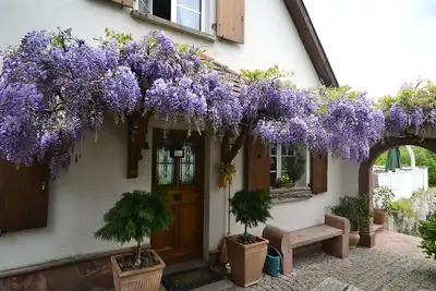 Image de Maison de charme avec piscine privée 4 ⭐️