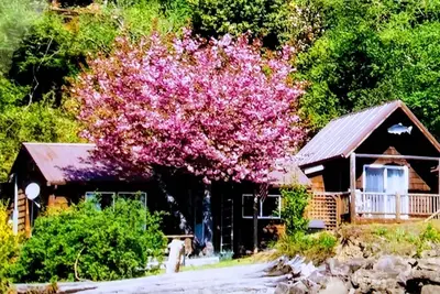 Image de Hood Canal 2 B / R Waterfront Cabin. 6 couchages.