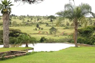 Image de Domaine d'observation des jeux du parc national de Nairobi