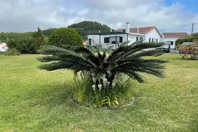 Image de Villa à 2 km du centre
