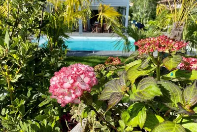 Image de Piscine CHAUFFÉE Et SÉCURISÉE Classee 4 Etoiles