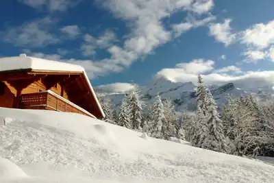Magnifique chalet ensoleillé, expose sud, grand confort, vue Glacier Diablerets