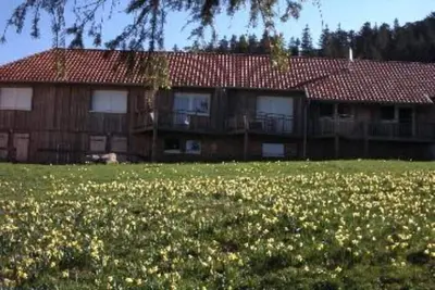 Image de Magnifique **duplex neuf, spacieux et  grand confort  en  lisière de forêt