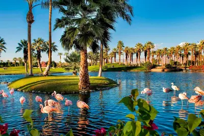 Image de Marriott Desert Springs Villas Ii 7 du 7 mars 2019 au 14 mars 2019 2br / 2ba