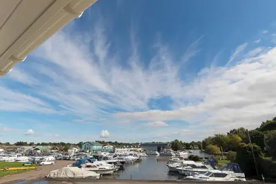 Image de Bewick Swan - Ukc2111