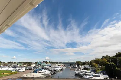 Image de Greylag Goose - Ukc2110