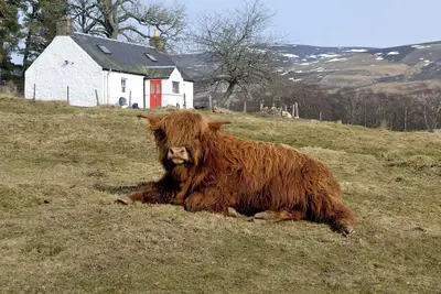 Image de Hébergement de 2 chambres à Glenprosen, par Kirriemuir