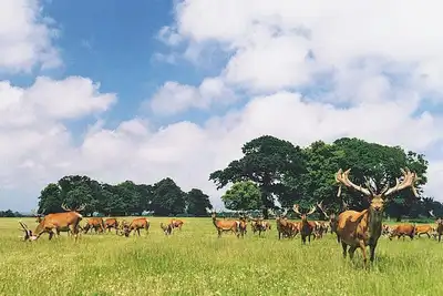 Image de Deer Park Lookout - E3928