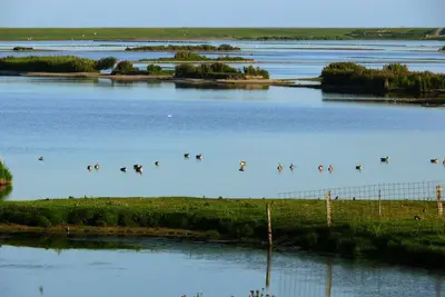 Image de Haus Halligblick, Appartement de vacances Hamburger Hallig