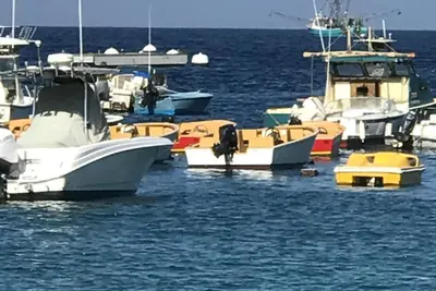 Catalina Charmer - À quelques pas de l'eau! ! !