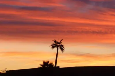 Image de Apportez votre brosse à dents!