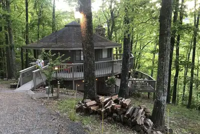 Image de Le nid d'oiseau dans les Smokies