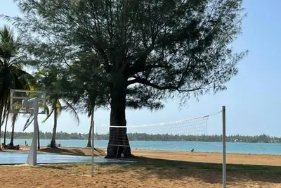 Image de Détendez-vous dans une forêt pluviale spéciale, zone de plage