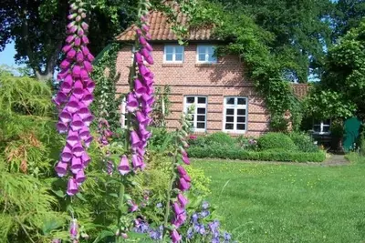 Image de Maison de vacances \"Am Kienmoor\", douche, Wc - \"Haus am Kienmoor\"