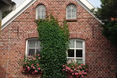 Image de Klaassen - Maison de vacances Up Warf - Maison de vacances Up Warf, douche, Wc, 2 chambres