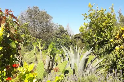Image de Notre éco-auberge est une oasis de nature et de paix pour se reposer et profiter.
