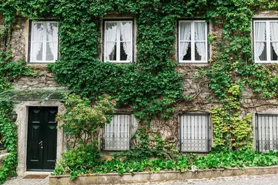 Image de Villa mystique et charmante à Sintra