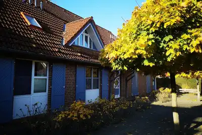 Image de Appartement / app. pour 6 personnes à 60 m² à Prerow (109561)