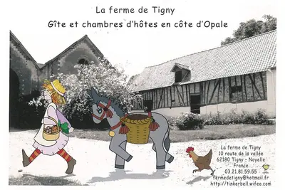 Image de Berck-sur-Mer - Cote D'Opale - Mer, Rivière Animaux. . .