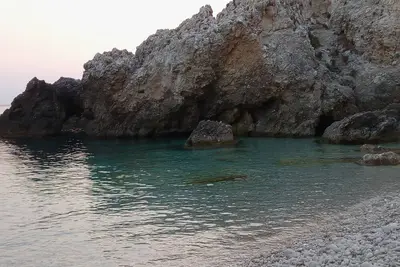 Image de Ponderosa