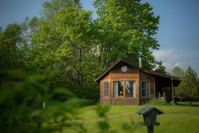 Image de Cabane conviviale pour animaux de compagnie dans les prés en bordure de forêt avec de grandes fenêtres