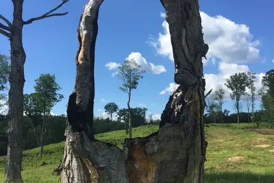 Image de Le confort de la maison. . .