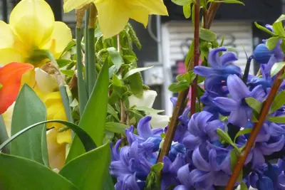 Image de Plovdiv Old Town appartement de 2 chambres